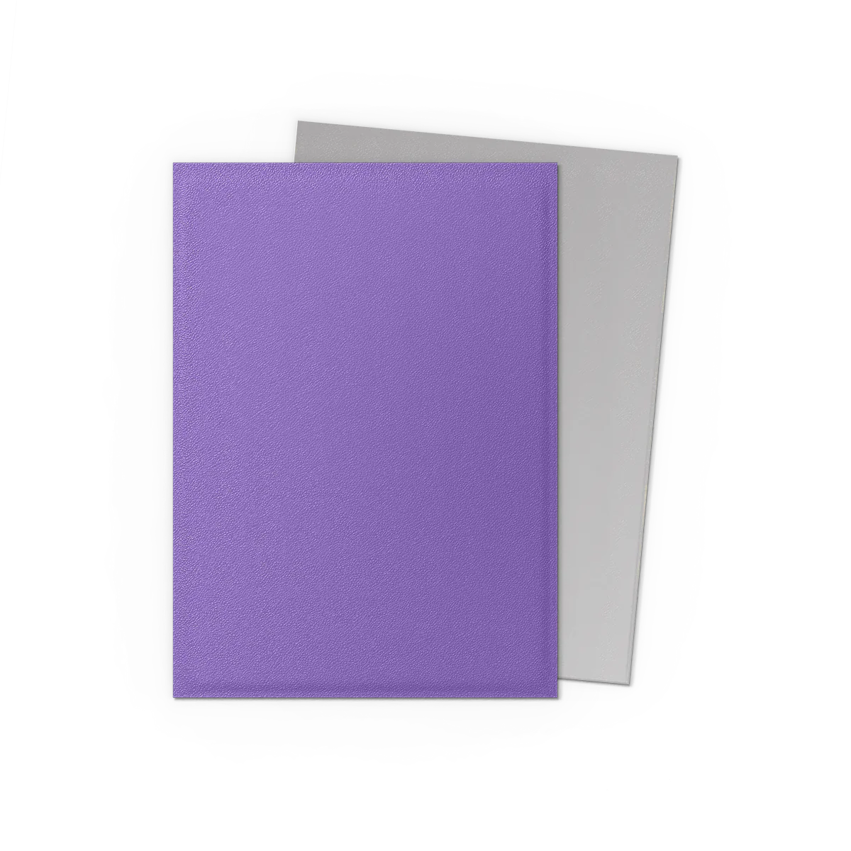Dragon Shield Sleeves Matte Dual Nebula And Silver 100Ct