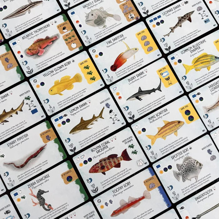 Finspan: Sharks & Reefs