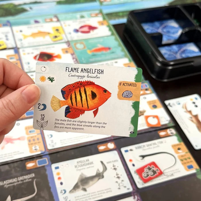 Finspan: Sharks & Reefs